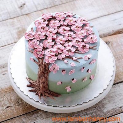 bánh sinh nhật trang trí bằng hoa anh đào
