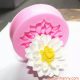 khuon silicon 4D hoa thuoc duoc