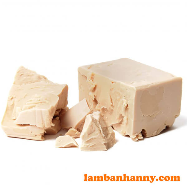 Fresh Yeast - Men khô