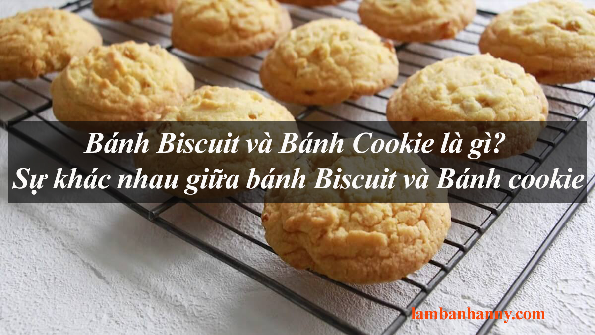 Bánh Biscuit và Bánh Cookie là gì? Sự khác nhau giữa bánh Biscuit và Bánh cookie